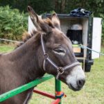 Thumbnail of http://Sulhamstead%20&%20Ufton%20Nervet%20Fete%202016