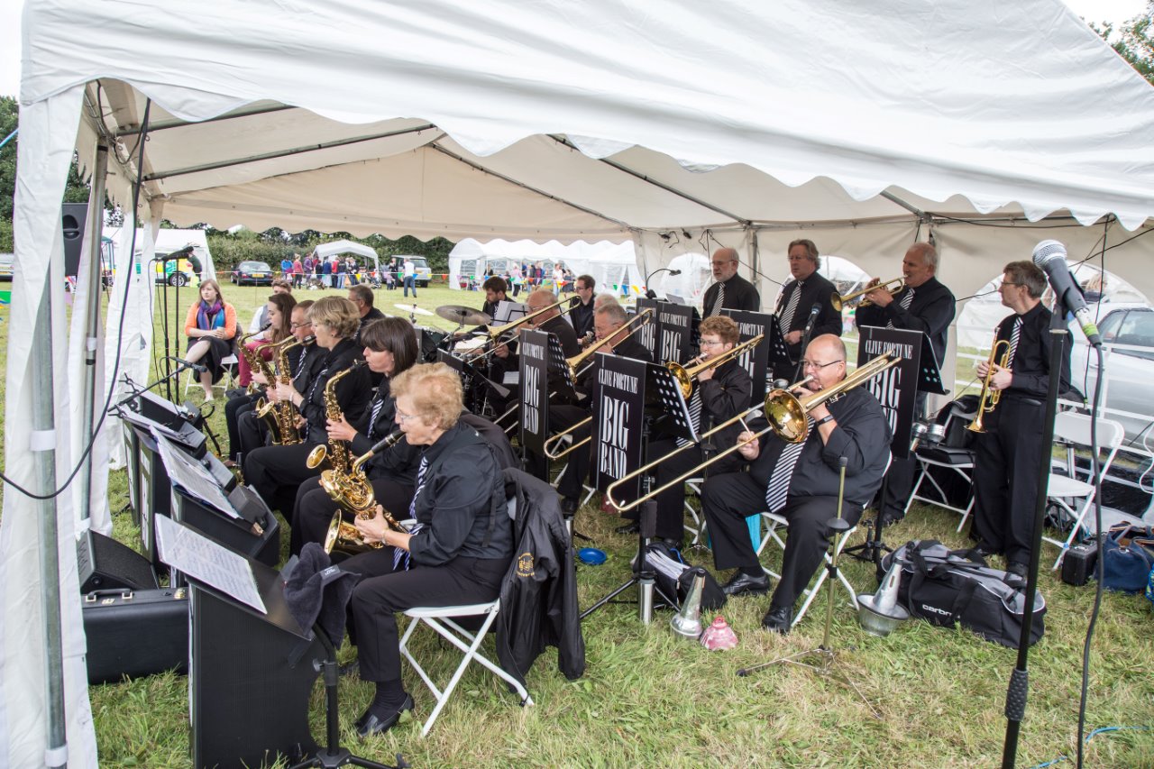 Sulhamstead & Ufton Nervet Fete 2016